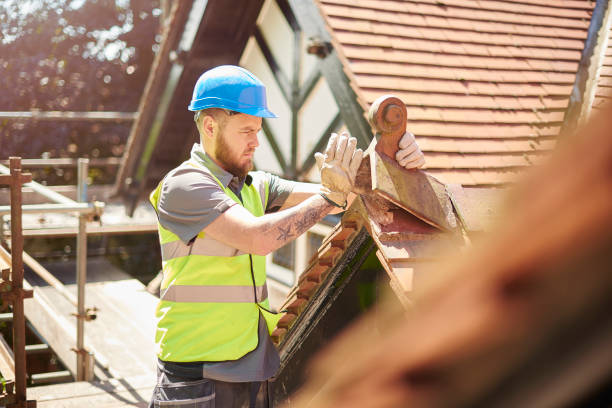 Best Roof Maintenance Services  in Braham, MN